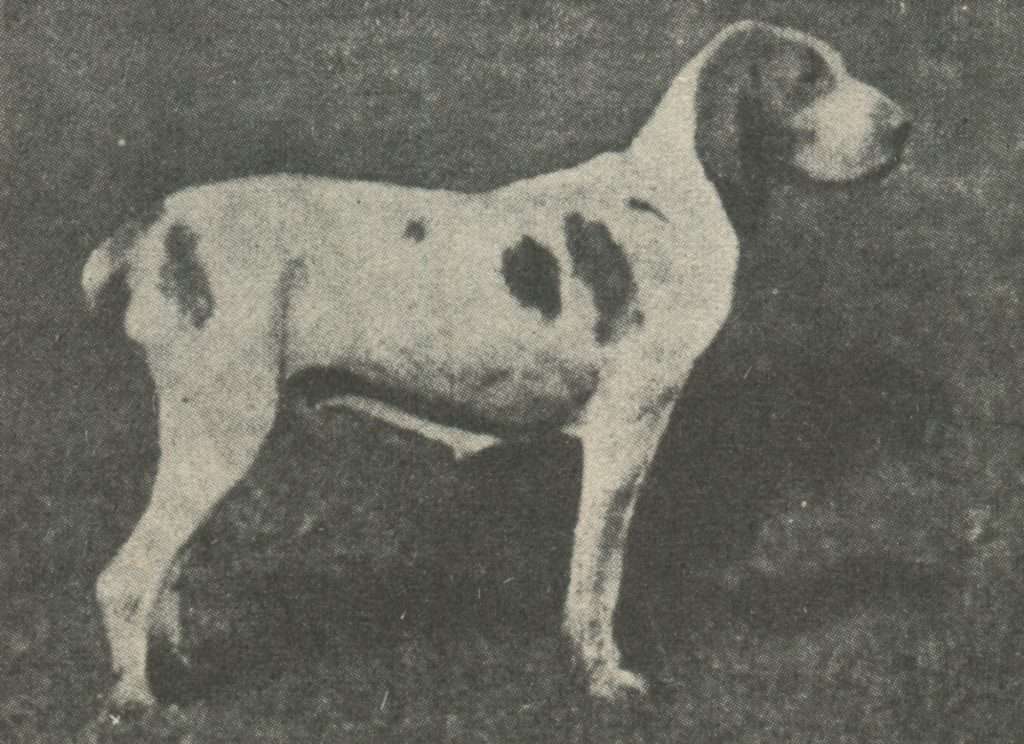 1899. Lola di Regona