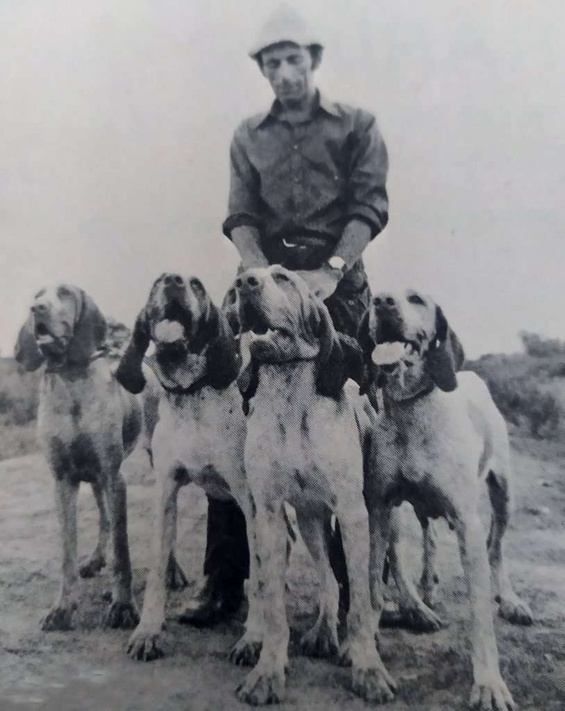 Mario Baldeschi con Rubina di Montepetrano, Jenny delle Forre, Rea di Montepetrano, Nanà di Montepetrano