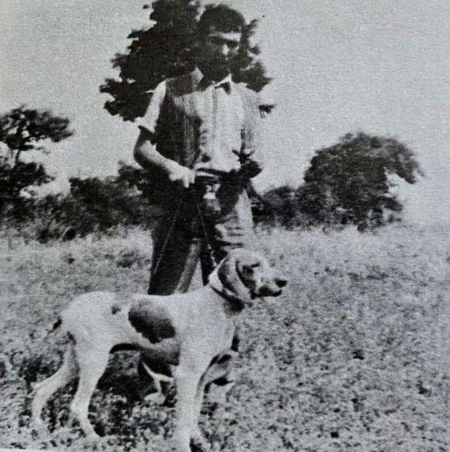 teodolinda bracco italiano