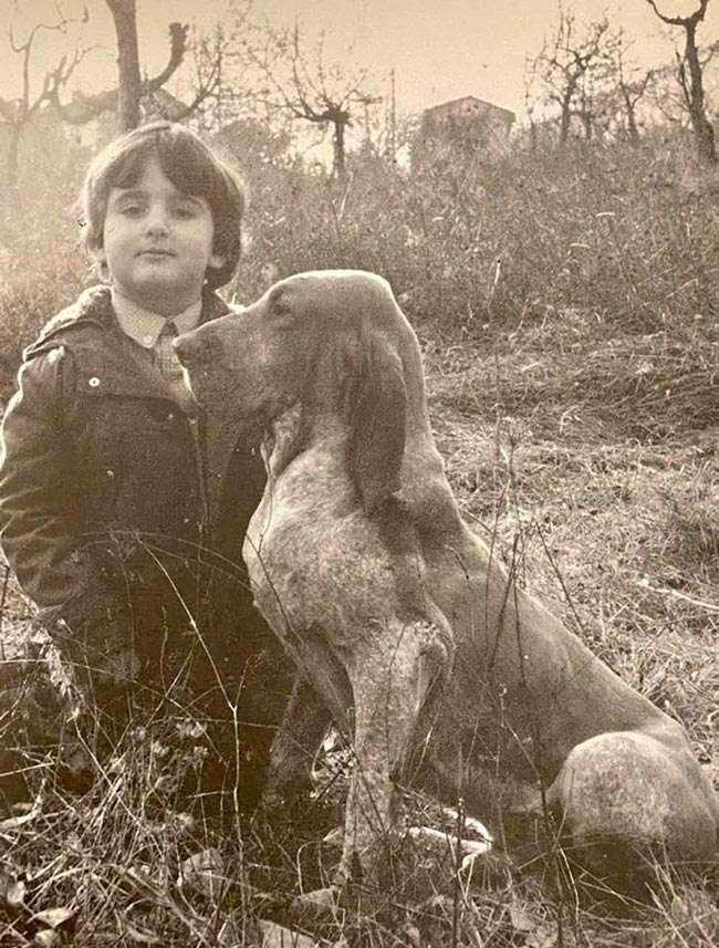 Bracco italiano