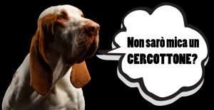 istinto predatorio bracco italiano