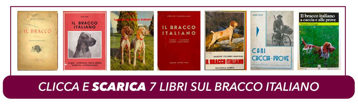 libri bracco italiano