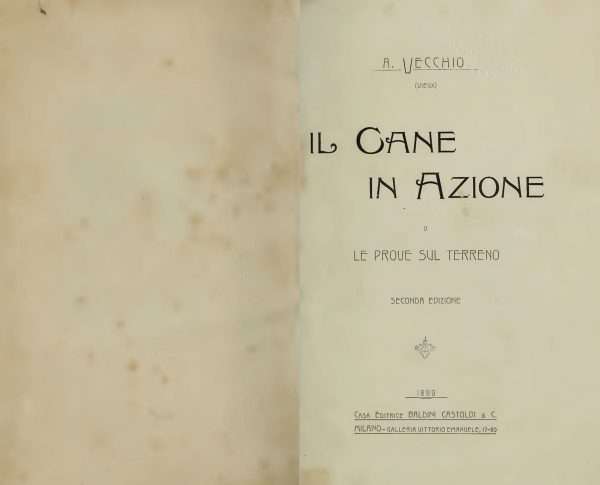 il cane in azione angelo vecchio