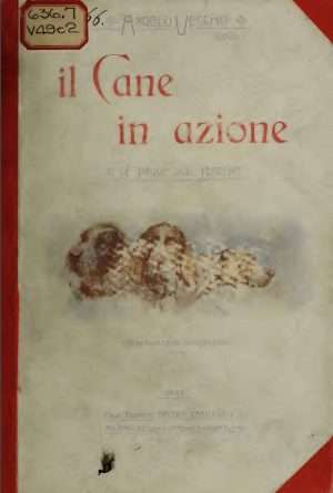 il cane in azione angelo vecchio