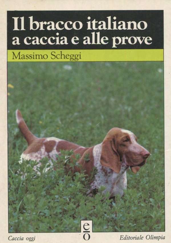 Il bracco italiano a caccia e alle prove di Massimo Scheggi