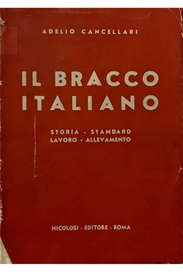 il bracco italiano adelio cancellari