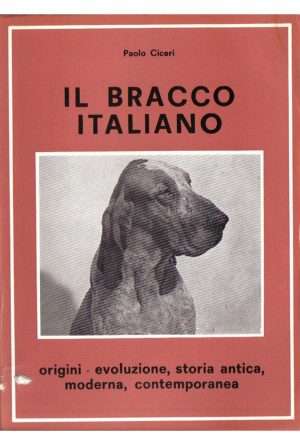 il bracco italiano di paolo ciceri