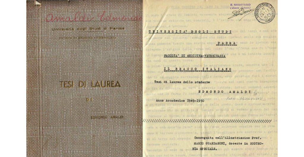 tesi di laurea di edmondo amaldi