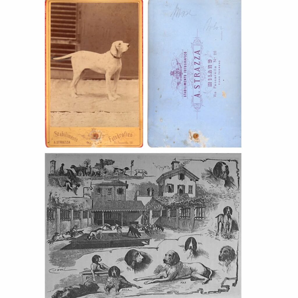 max canile della caccia ferdinando delor