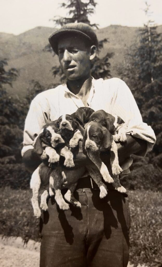 bracchi italiani di caglio felice de mattia