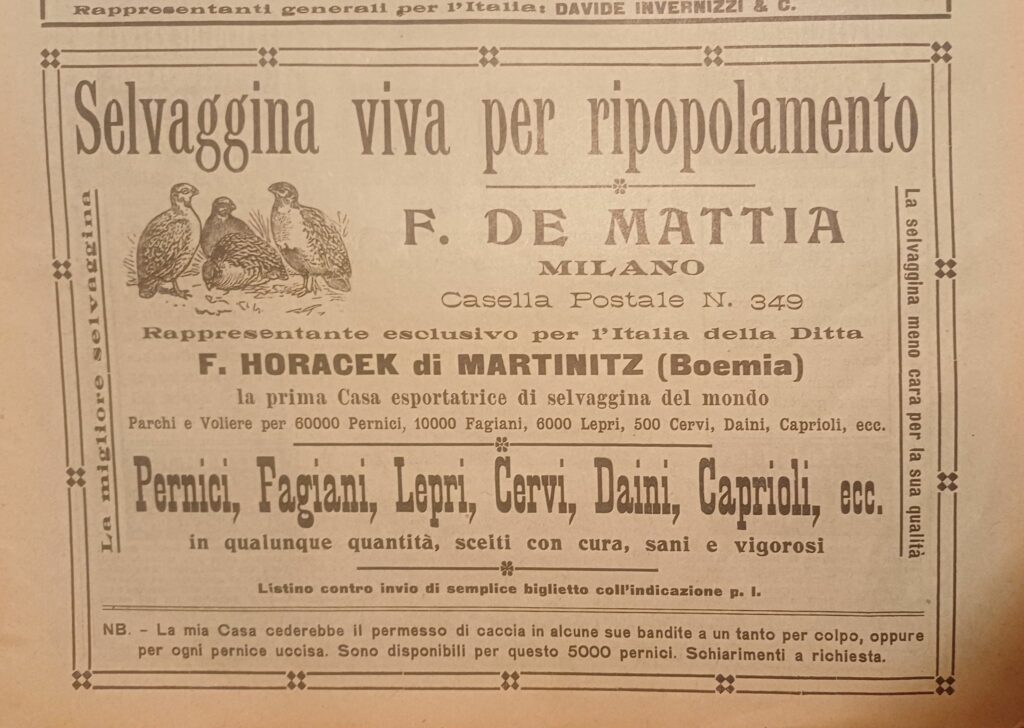 felice de mattia bracco italiano 4