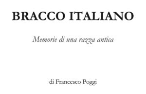 bracco italiano memorie di una razza antica